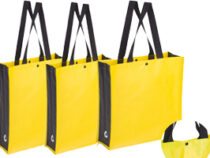 Bolsas de rafia XB 72213