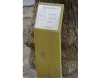 ATRIL DE MADERA CR 7M7800