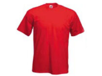 Camiseta NL 74197