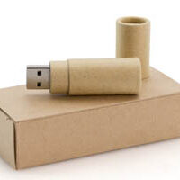Memoria USB NL 76124