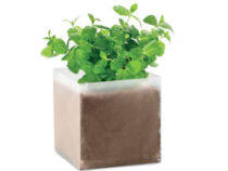 Bolsa con semillas NP 7MO9546
