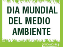 DÍA MUNDIAL DEL MEDIO AMBIENTE