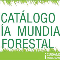 Día Mundial Forestal